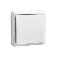 ELSO-toets 502104 10A complete RENOVATIE rw Meerdere kleuren 1 stuk(s) - thumbnail