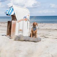 TRIXIE BE NORDIC HONDENRIEM LEER GRIJS 120X0,8 CM - thumbnail