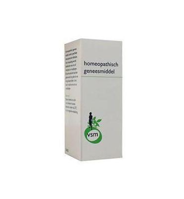 Taraxacum officinale D1