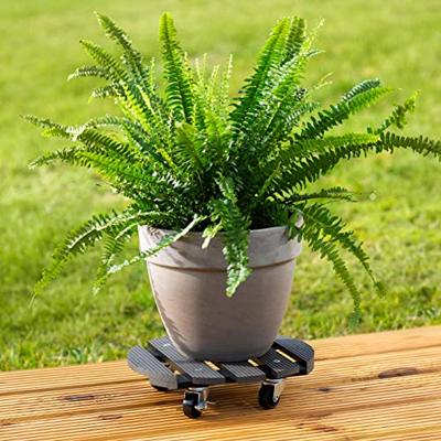 Metafranc Plantenroller 30Cm Rond Wpc An. W - WU0825130 Metafranc Plantenroller 30Cm Rond Wpc An. W - WU0825130