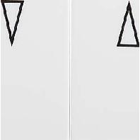 ELSO jaloeziewip 213804 jaloezieschakelaar/toets rw Meerdere kleuren 1 stuk(s) ELSO jaloeziewip 213804 jaloezieschakelaar/toets rw Meerdere kleuren 1 stuk(s)