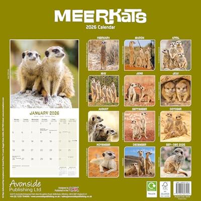 Stokstaartjes Kalender 2026 Stokstaartjes Kalender 2026