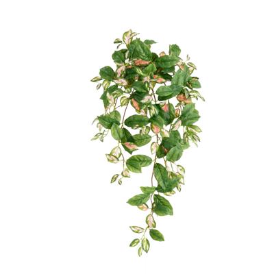 Hoya Carnosa Kunst Hangplant 80cm