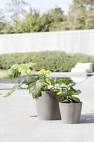 Ecopots Amsterdam kunststof bloempot Taupe - Ø 18 cm - thumbnail