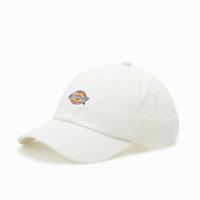 Sportcap Dickies Hardwick Cloud (Één maat) - thumbnail
