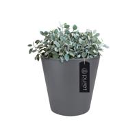 Bloempot Pure straight round 65 antraciet elho - Elho - thumbnail