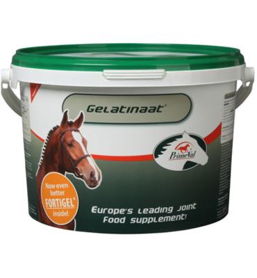 Primeval Gelatinaat Primeval Gelatinaat