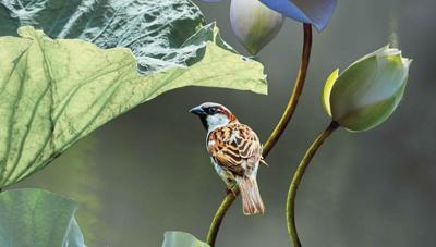 Lotus mus 130x70cm Tuinschilderij Customize-it - Customize it