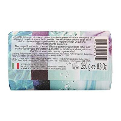 Nesti Dante philosophia detox zeep 250gr.