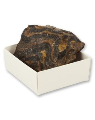 Ruben Robijn Ruben Robijn Stromatoliet Doosje (1st)