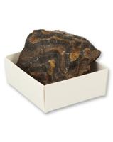 Ruben Robijn Ruben Robijn Stromatoliet Doosje (1st) - thumbnail