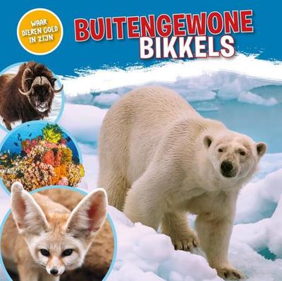 Buitengewone bikkels (Hardback)