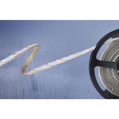 Barthelme 51540134 51540134 LED-strip Met open kabeleinde 24 V 5 m Koudwit 1 stuk(s) Barthelme 51540134 51540134 LED-strip Met open kabeleinde 24 V 5 m Koudwit 1 stuk(s)