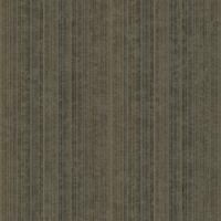 Dutch Level Two- Strand zwart - LV1311 - thumbnail