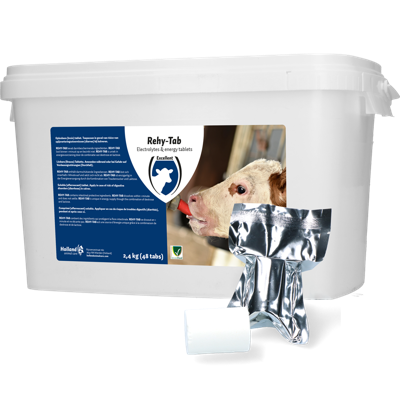 Rehy-Tab Plus (Bruistablet diarree) 48 tabl