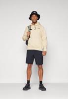 The North Face Raglan Redbox Trui Heren Gravel/Smokey Brown S - thumbnail