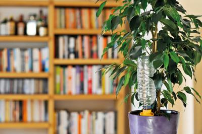 Hozelock Aquasolo 2718 3465 Vakantiebesproeiing niet nodig Hozelock Aquasolo 2718 3465 Vakantiebesproeiing niet nodig