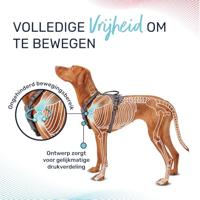 Hondentuigje Company of Animals Turkoois S 28-42 cm - thumbnail