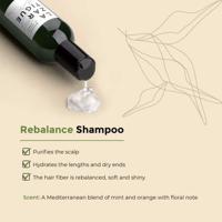 Lazartigue Rebalance Shampoo 250ml - thumbnail