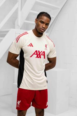 Liverpool Trainingsshirt Senior 2025/2026 - Maat L - Kleur: BeigeRood | Soccerfanshop