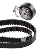 Distributieriemset 530053810 - thumbnail