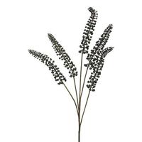 Phytolacca zwart 93cm - thumbnail