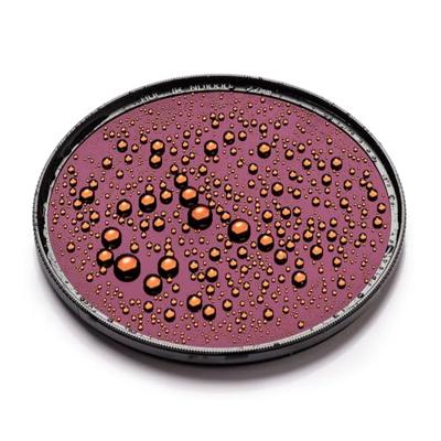 NiSi HUC IR ND1000 62mm