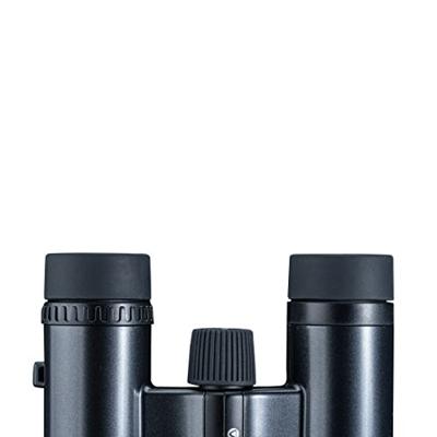 Vanguard Vesta 8210 BP verrekijker, 8 x 21, zwart