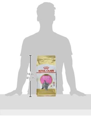 Royal Canin Kitten British Shorthair kattenvoer 2 x 2 kg