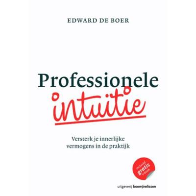 Professionele intuïtie (Paperback)