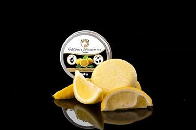Excellent Horse Hi Gloss Shampoo Bar Citroen 60 g
