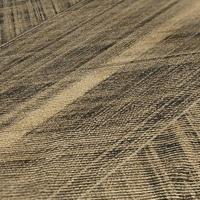 AS Creation THE BoS - Goud - 3D - 388245 - thumbnail