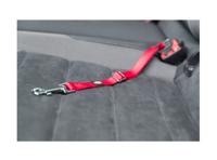 Kattentuigje Trixie - thumbnail