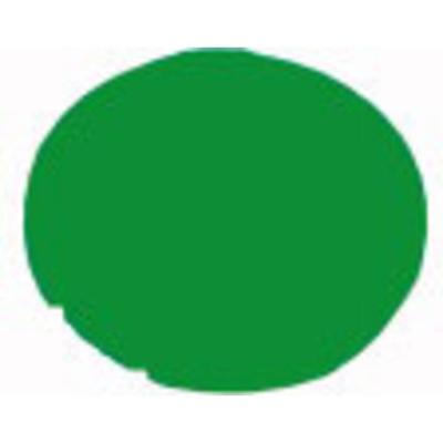 Eaton M22-XDL-G 216443 Toetskap Groen 1 stuk(s)