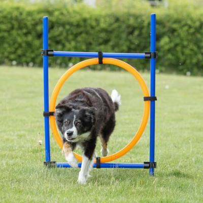 TRIXIE Fun-Agility Hoepel set, blauw-geel