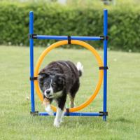 Trixie Fun Agility Ring hond - thumbnail