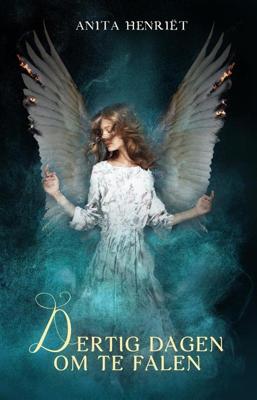 Dertig dagen om te falen - Anita Henriët - ebook