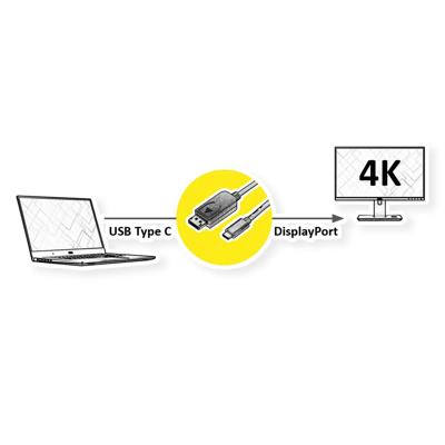 ROLINE USB type C - DisplayPort adapterkabel, v1.2, M/M, 1 m ROLINE USB type C - DisplayPort adapterkabel, v1.2, M/M, 1 m