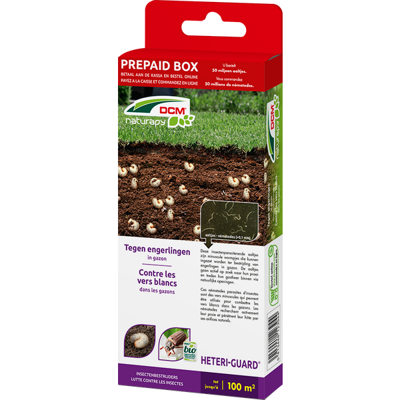 Aaltjes tegen engerlingen in gazon 10 m2 DCM Natuurlijke Vijanden - Dcm natuurlijke vijanden Aaltjes tegen engerlingen in gazon 10 m2 DCM Natuurlijke Vijanden - Dcm natuurlijke vijanden