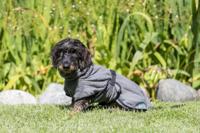 TRIXIE BADJAS HOND BADSTOF GRIJS 30 CM - thumbnail