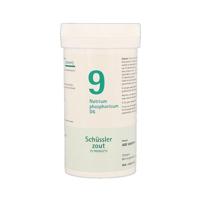 Pfluger Celzout 09 Natrium Phophoricum D6 Tabletten - thumbnail