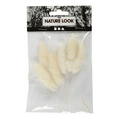 Creativ Company Hazenstaart gras, 6st.