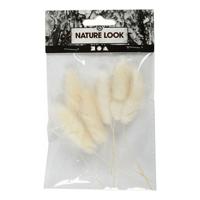 Creativ Company Hazenstaart gras, 6st. - thumbnail