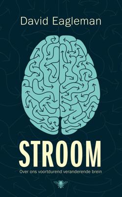 Stroom - David Eagleman - ebook