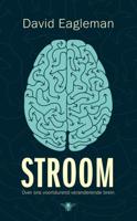 Stroom - David Eagleman - ebook - thumbnail