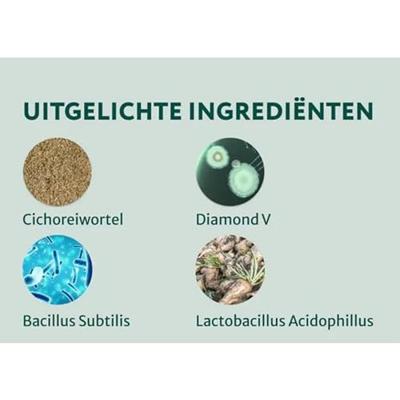 Dogsuppy Biotica Forte Chewies Dogsuppy Biotica Forte Chewies