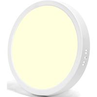 LED Paneel Downlight Rond 24W Warm Wit 3000K Ø30 Opbouw Flikkervrij - thumbnail