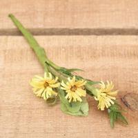 Bonbon doosjes - Chocolade doosje - Goudsbloem - 48 stuks - thumbnail