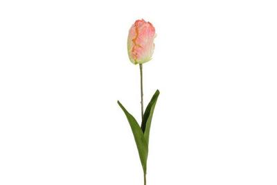 Decostar Tulp Tulipa Barbera 68 cm roze/wit Decostar Tulp Tulipa Barbera 68 cm roze/wit