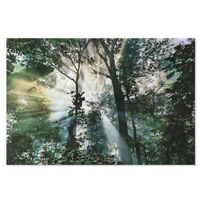 Schilderij Home ESPRIT Groen Bedrukt 150 x 0,4 x 100 cm